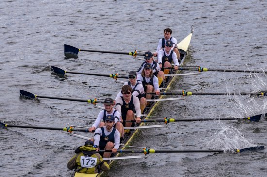 Click to view original image - 5616 x 3744 (2336Kb)